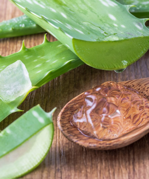 The aloe vera gel is in a wooden spoon, with some aloe vera placed next to it. by the elite bangkok thai massage